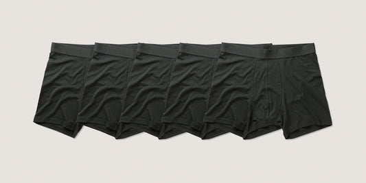 5pk Base Bamboo Boxer