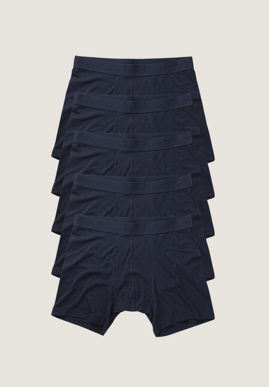 5pk Base Bamboo Boxer
