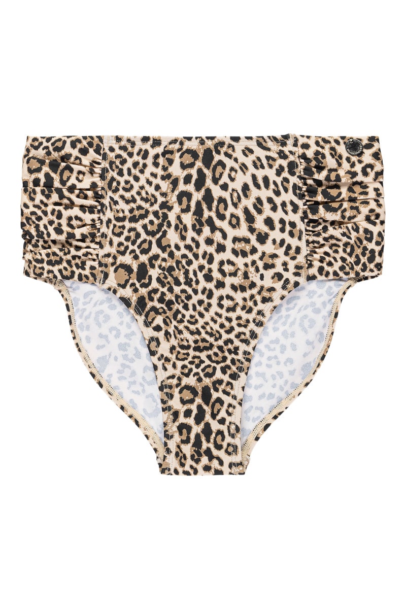 Leopard Olympia btm