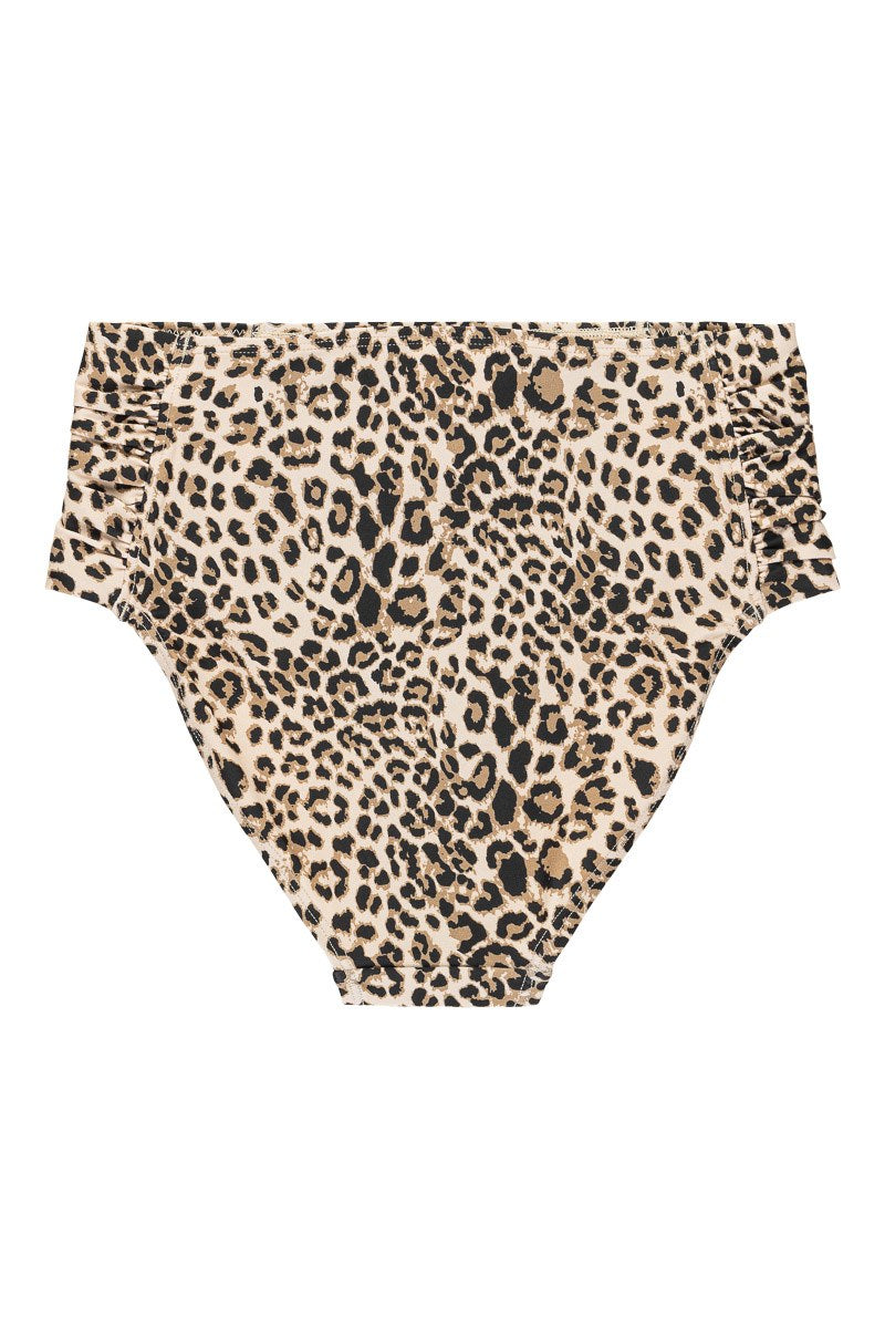 Leopard Olympia btm