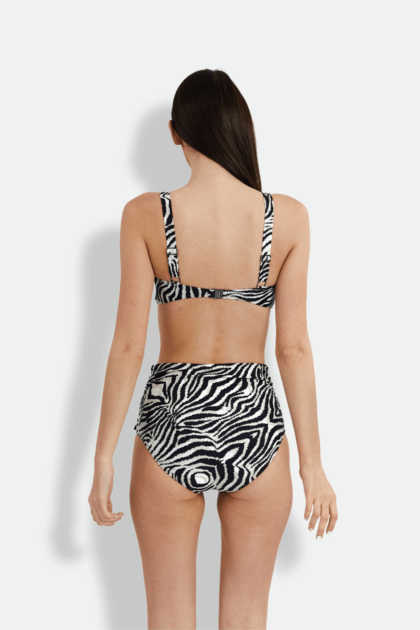 Zebra Chara Bottom