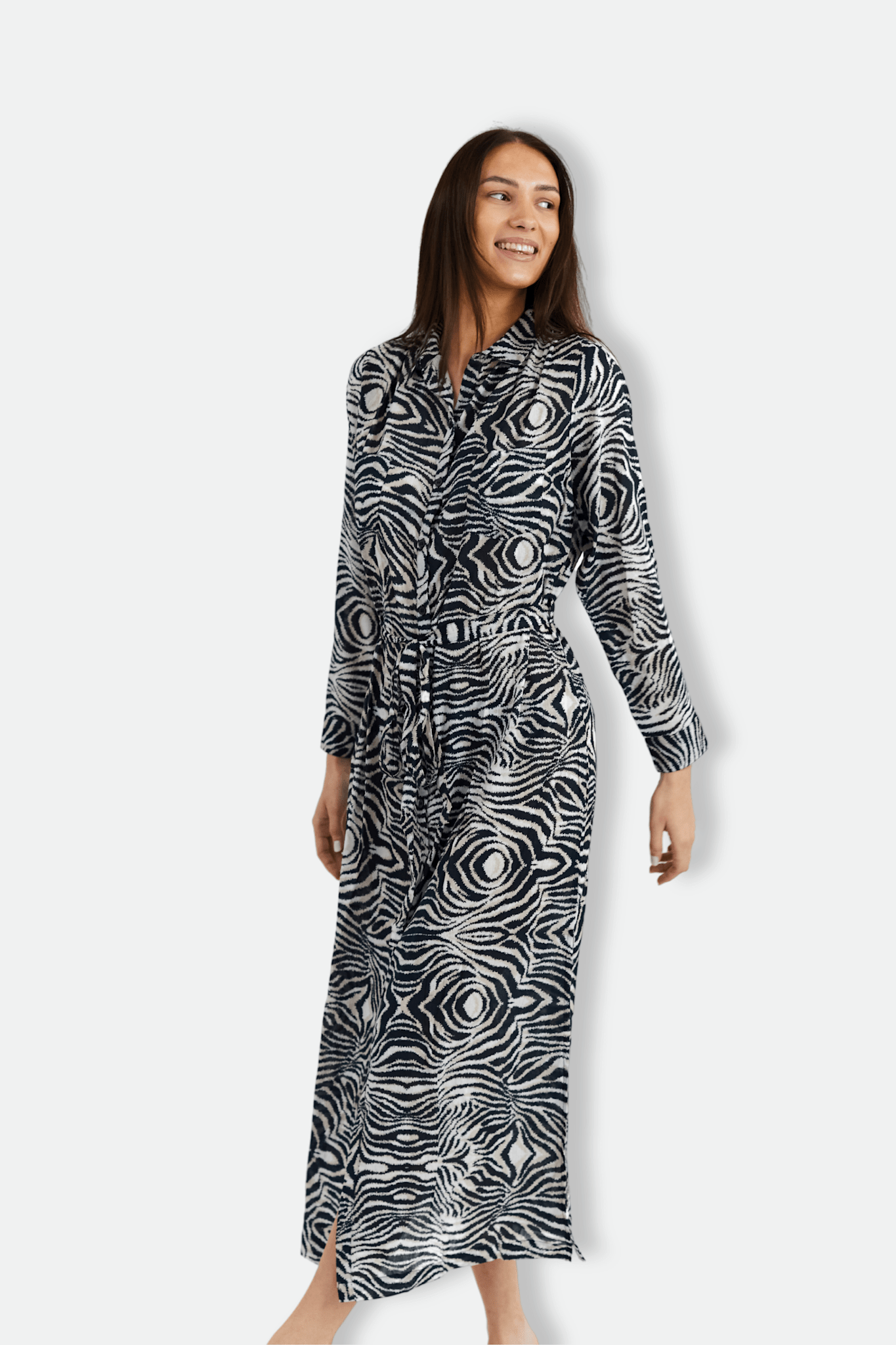 Zebra Ismene Dress