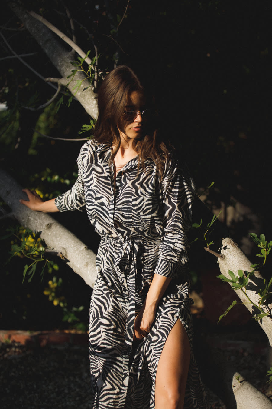 zebra print beach dress Georgia Zebra Print Dress