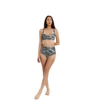 Zebra Twist Bra  Animal Print Branded Lingerie Set