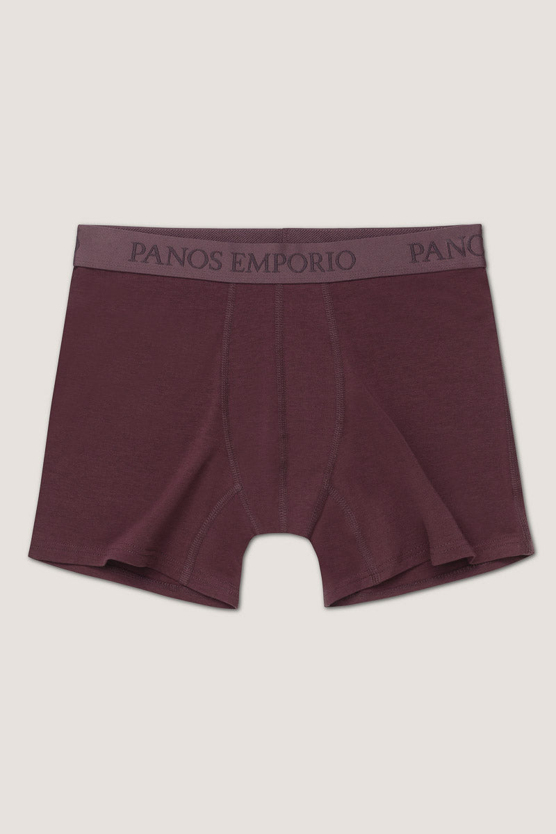 5pk Base Bamboo Boxer