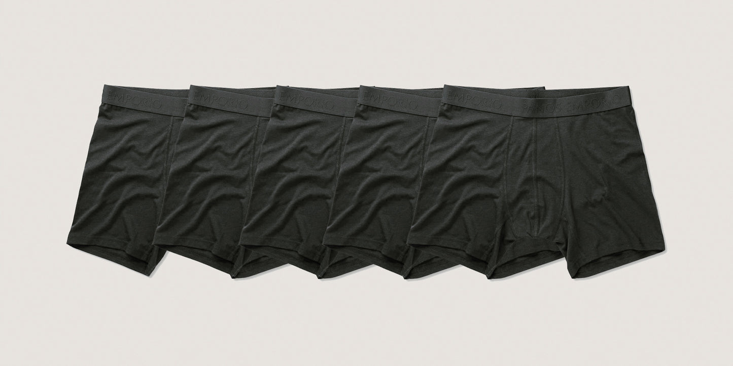 5pk Base Bamboo Boxer